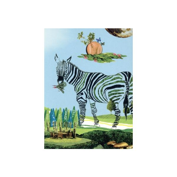 ap bank fes 2006/Bank Band with Great Artists,レミオロメン,コブクロ,BoA,ポルノグラフィティ,HY,スキマ