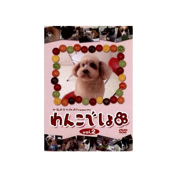 「わんこでしょ」DVD vol.2/(趣味/教養)
