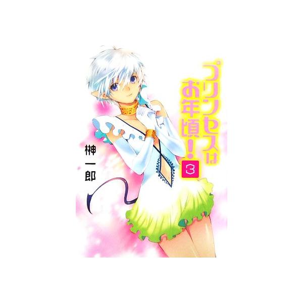 プリンセスはお年頃！(3) HJ文庫/榊一郎【著】
