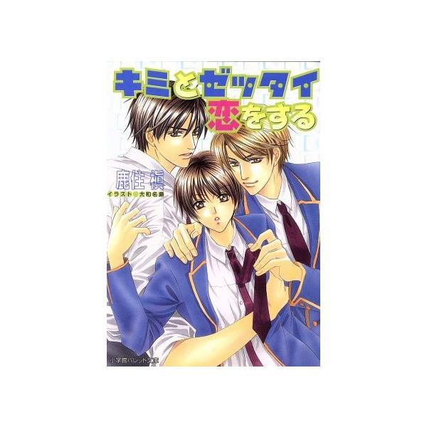 キミとゼッタイ恋をする パレット文庫/鹿住槇(著者),大和名瀬(著者)