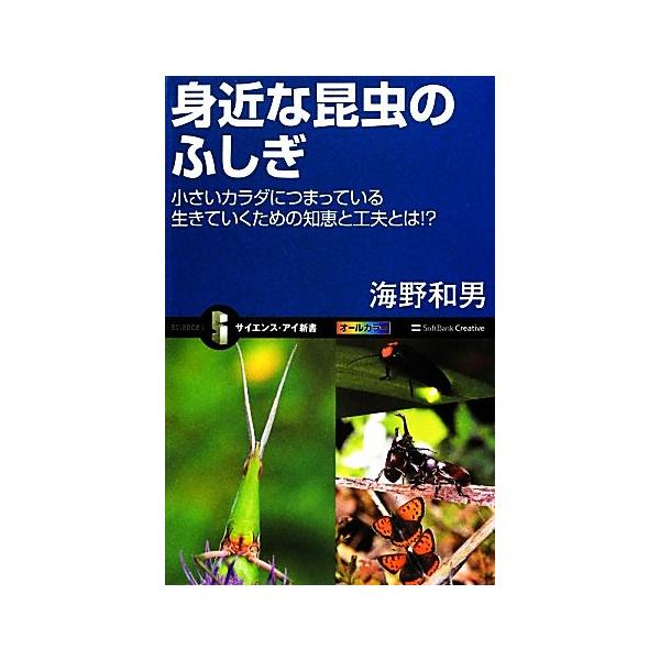 身近な昆虫のふしぎ 小さいカラダにつまっている生きていくための知恵と工夫とは!? サイエンス・アイ新書/海　