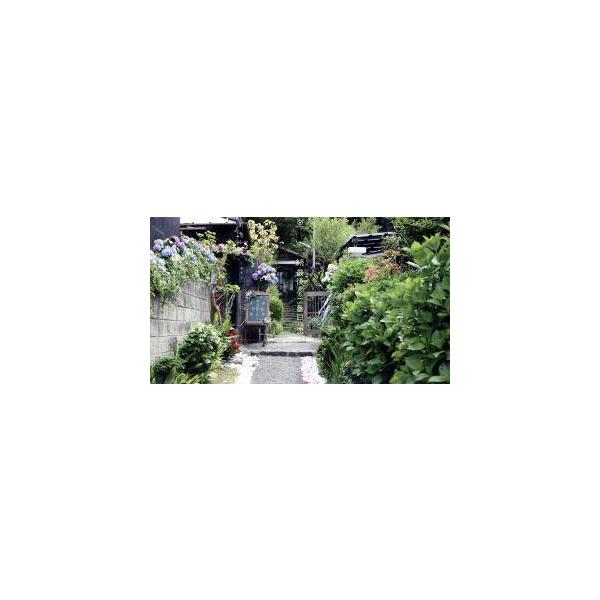 続・最後から二番目の恋 Blu-ray BOX(Blu-ray Disc)/小泉今日子,中井貴一,坂口憲二,平沢敦士(音楽)