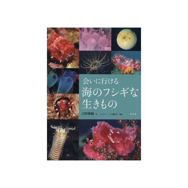 会いに行ける海のフシギな生きもの/吉野雄輔(著者),ネイチャー・プロ編集室