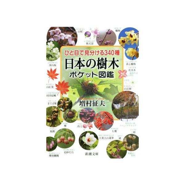 ひと目で見分ける340種日本の樹木ポケット図鑑 新潮文庫/増村征夫(著者)
