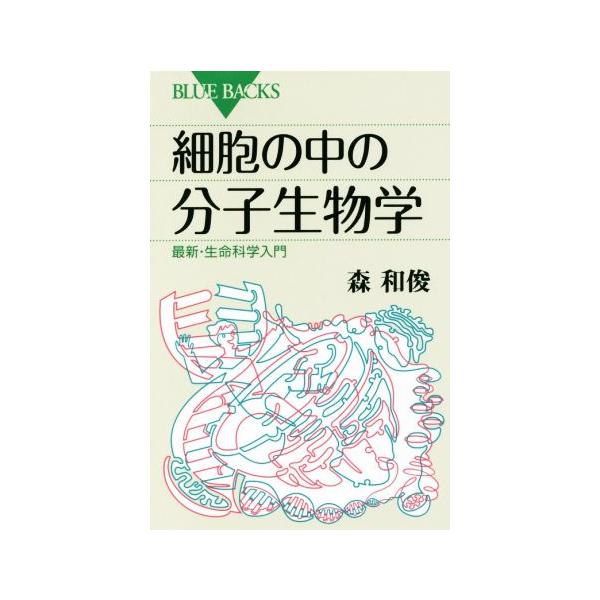 細胞の中の分子生物学 ブルーバックス/森和俊(著者)