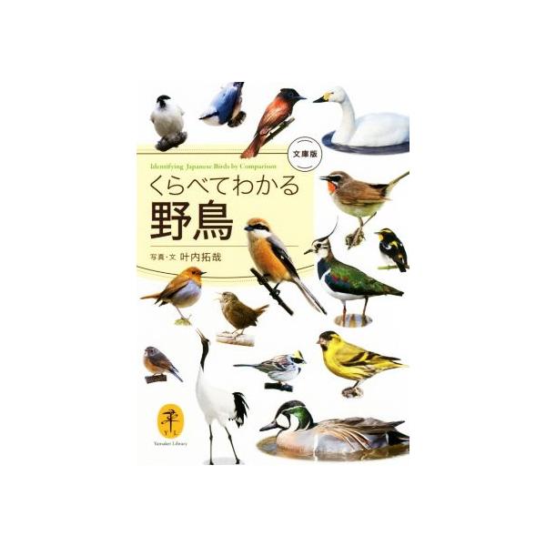 くらべてわかる野鳥 文庫版 ヤマケイ文庫/叶内拓哉(著者)