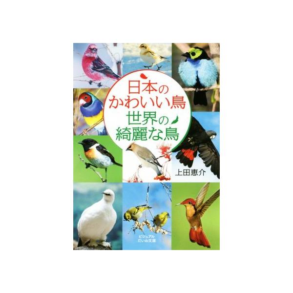 日本のかわいい鳥世界の綺麗な鳥 ビジュアルだいわ文庫 上田恵介 著者 Bookoff Online ヤフー店 通販 Yahoo ショッピング
