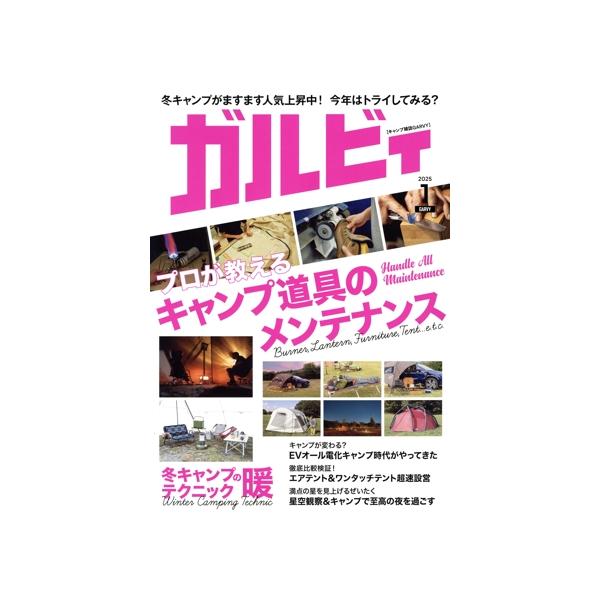 ガルビィ(2025年1月号) 隔月刊誌/実業之日本社