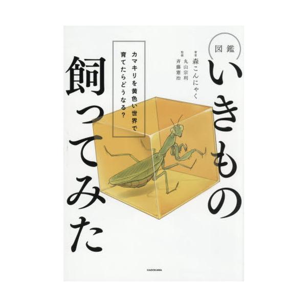 図鑑いきもの飼ってみた　カマキ / 森こんにゃく