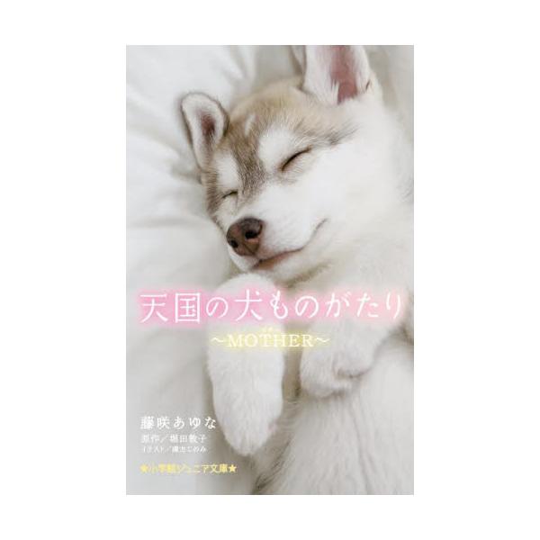 天国の犬ものがたり 〔１５〕 / 堀田敦子／原作 藤咲あゆな／著 環方このみ／イラスト