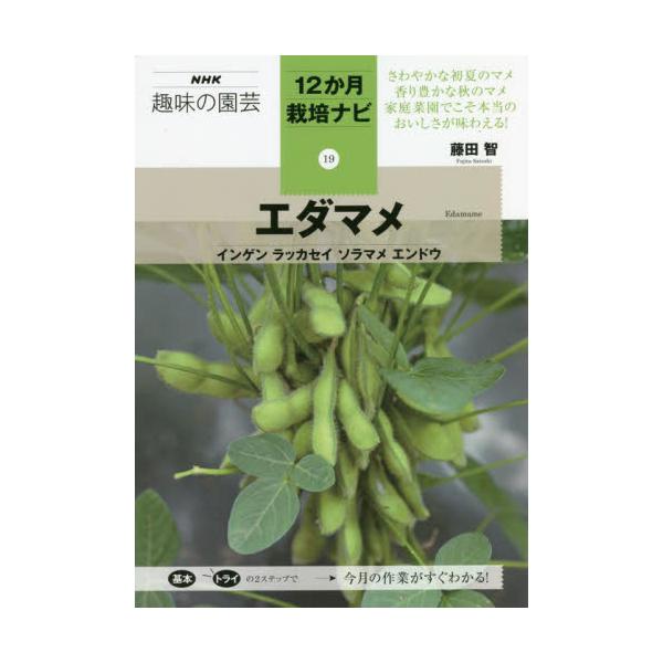 エダマメ　インゲン　ラッカセイ　ソラマメ　エンドウ / 藤田　智　著