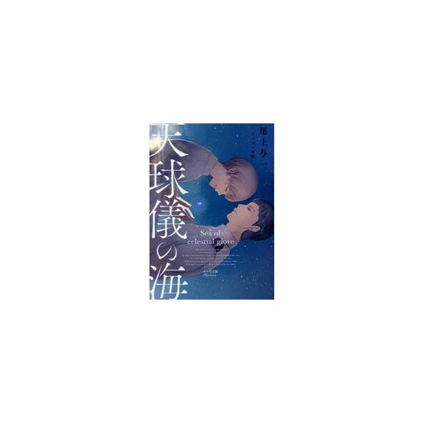 天球儀の海 / 尾上与一
