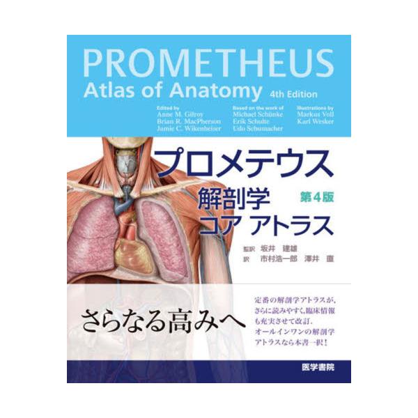 すっかり定番の解剖学アトラスとして定着したコアアトラスの最新版。<br>すでに高い完成度を誇る本書だが、臨床情報をまとめた臨床BOXの拡充をはじめ、読者の読みやすさをさらに向上するための細かいレイアウト変更など、最高峰の座に安住...