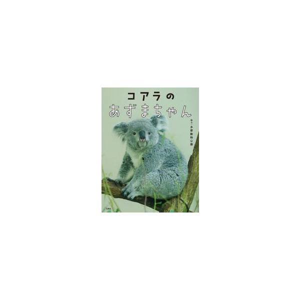 コアラのあずまちゃん / 多摩動物公園