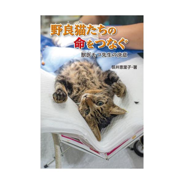 <br>笹井恵里子金の星社2023年07月ノラネコタチ　ノ　イノチ　ヲ　ツナグササイ　エリコ/