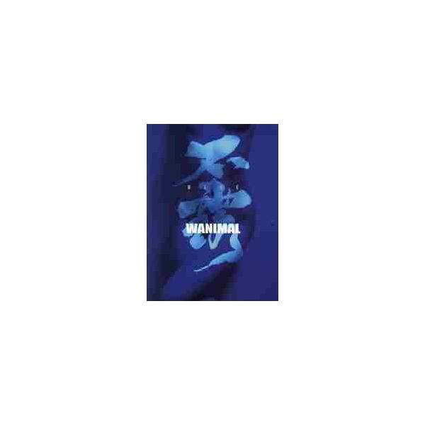 WANIMAL 不露ーBLUE / WANIMAL : 京都 大垣書店 
