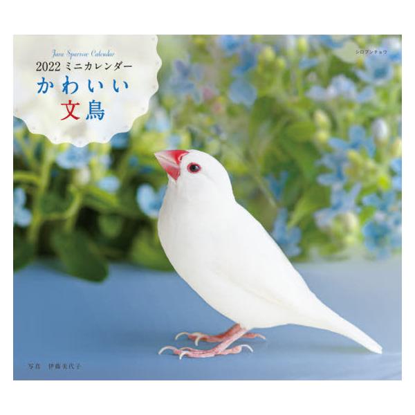 カレンダー　’２２　かわいい文鳥 / 伊藤　美代子