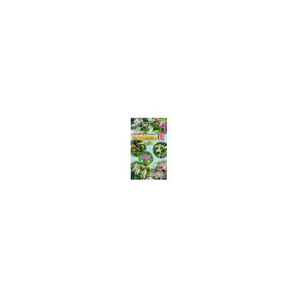 軽井沢町植物園の花　第２集 / 佐藤邦雄／監修　軽井沢町教育委員会／編集