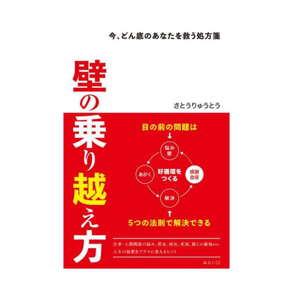 壁の乗り越え方 今、どん底のあなたを救う処方箋 / さとうりゅうとう