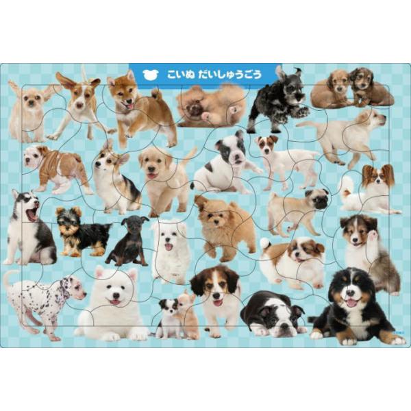 思わず笑顔になるような、かわいらしい子犬たちを集めたジグソーパズルです（50ピース）。<br>楽しく遊びながら、いろんな種類の犬たちの姿や名前を覚えることができます。4?5才むけ。<br>便利な収納袋と犬の名前チェッ...