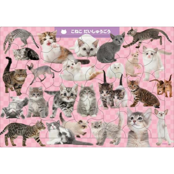 思わず笑顔になるような、かわいらしい子猫たちを集めたジグソーパズル（50ピース）。楽しく遊びながら、いろんな種類の猫たちを覚えることができます。4?5才むけ。　便利な収納袋と猫の名前チェックシート付き。<br>福田豊文（写真）／...