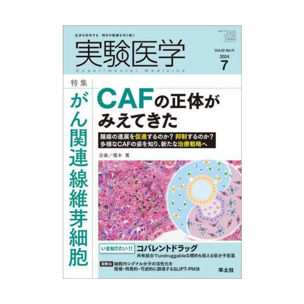 実験医学　Ｖｏｌ．４２Ｎｏ．１１（２０２４−７） / 榎本篤