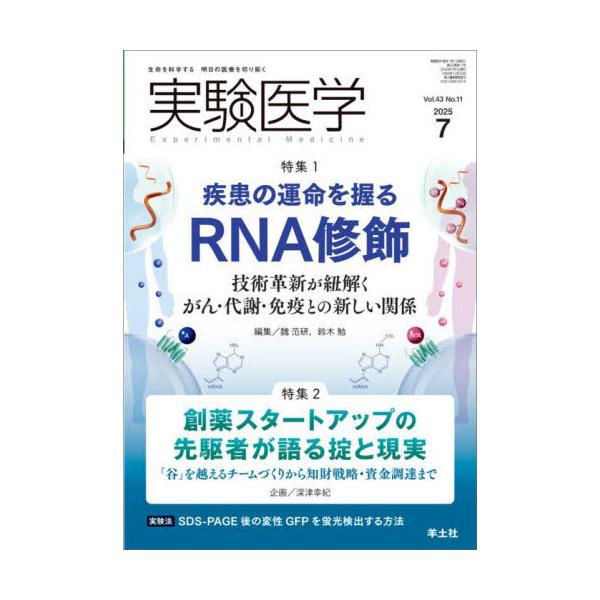 実験医学　Ｖｏｌ．４３Ｎｏ．１１（２０２５−７） / 魏范研