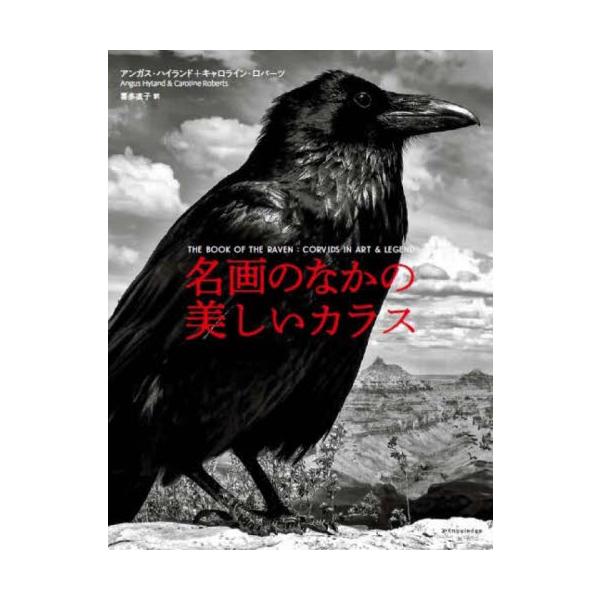 名画のなかの美しいカラス / アンガス・ハイランド