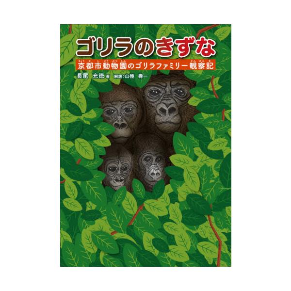 京都市動物園でくらすゴリラの家族。貴重な観察記を公開します。家族のなかでのゴリラたちのふるまいをよく見てみると、わたしたちが学ぶことがたくさんありそうです。日本の動物園では、個々のゴリラの観察がたくさんされてきました。夫婦のゴリラや親子のゴ...