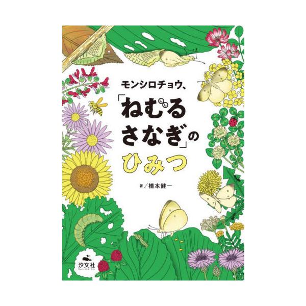 研究室でモンシロチョウを育てると、冬なのにチョウになります。なぜ「ねむる　さなぎ」にならないのか？研究室でモンシロチョウを育てると、冬なのにチョウになります。なぜ「ねむる　さなぎ」にならないのか？　<br>全国で採集し、一度に1...