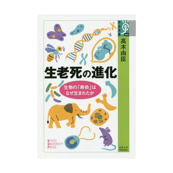 高木　由臣　著有限責任中間法2018年11月