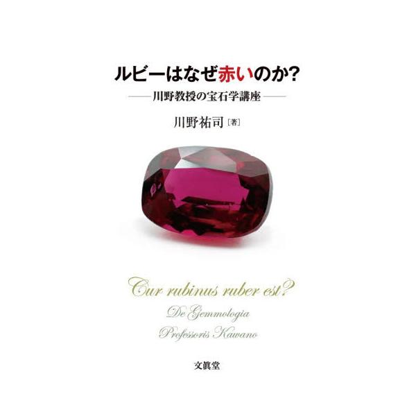ルビーはなぜ赤いのか？　川野教授の宝石学講座 / 川野祐司