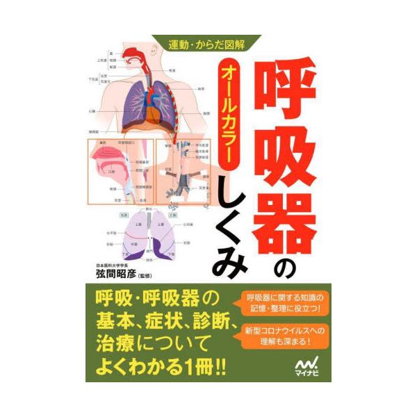呼吸器のしくみ　オールカラー / 弦間　昭彦　監修