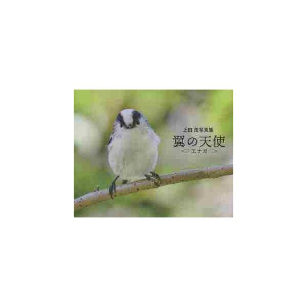 上田茂写真集 翼の天使 エナガ / 上田茂 著