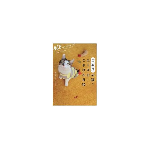 二本足の猫・エースのごきげん日和 / 新井かおり