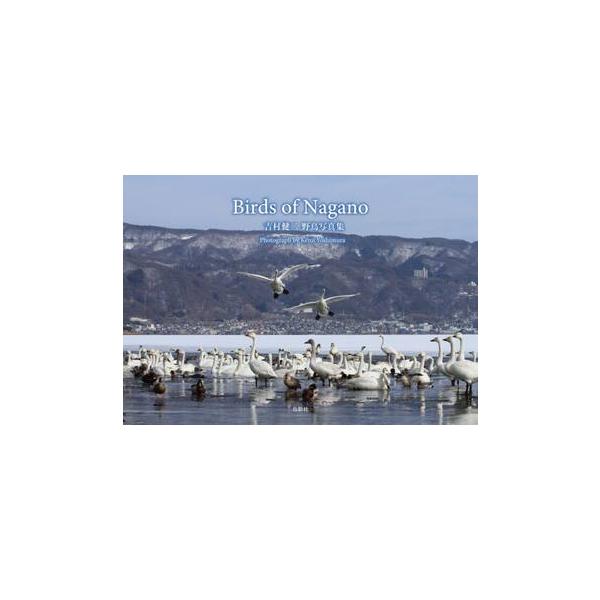 Ｂｉｒｄｓ　ｏｆ　Ｎａｇａｎｏ　吉村健二野鳥写真集