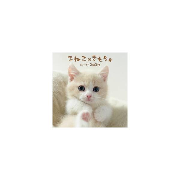 ’２７ こねこのきもちカレンダー