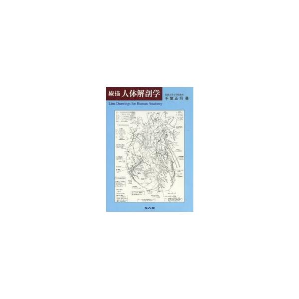 線描人体解剖学 / 千葉正司／著