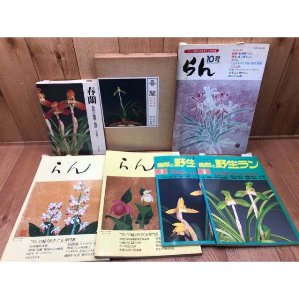 日本春蘭 無名 (仮名：翠仙) 千葉県産 ㊻ 送料無料 店舗 日本春蘭 無名 (仮名：翠仙) 千葉県産 ㊻ 楽天市場】日本