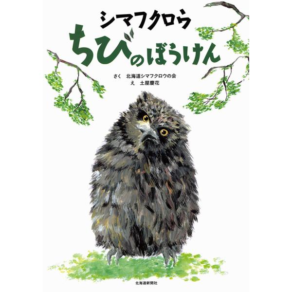 [Release date: February 18, 2022]出版社：北海道新聞社著者名：北海道シマフクロウの会／土屋慶花