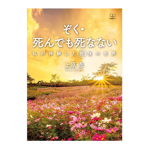 希少　がんの盲点　白血病はがんではない　大沼四廊著　創英社　三省堂書店 Amazon.co.jp: がんの盲点: 白血病はがんではない : 大沼 四廊: 本