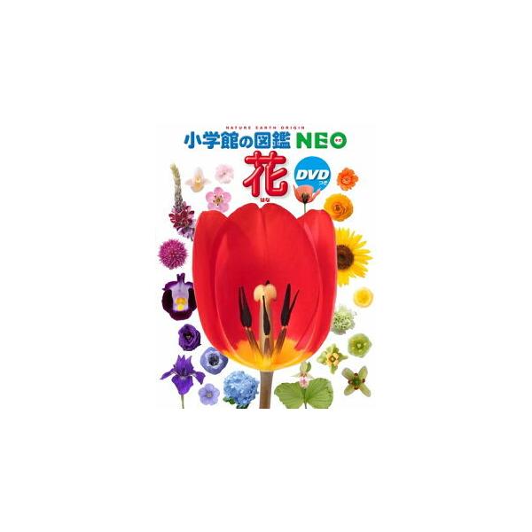 ＤＶＤつき植物図鑑「ＮＥＯ花」登場！新刊の『NEO花』は、日本で初めての、分類順に掲載した児童向け本格植物図鑑です。現在の児童向け植物図鑑は、春夏秋冬の季節ごとや、生育環境別での掲載順が主流ですが、本書は最新DNA分類（APG分類）順に、科...