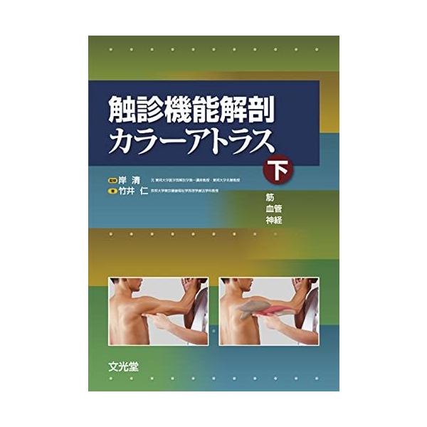 触診機能解剖カラーアトラス 下 筋・血管・神経 : ブックスドリーム 学