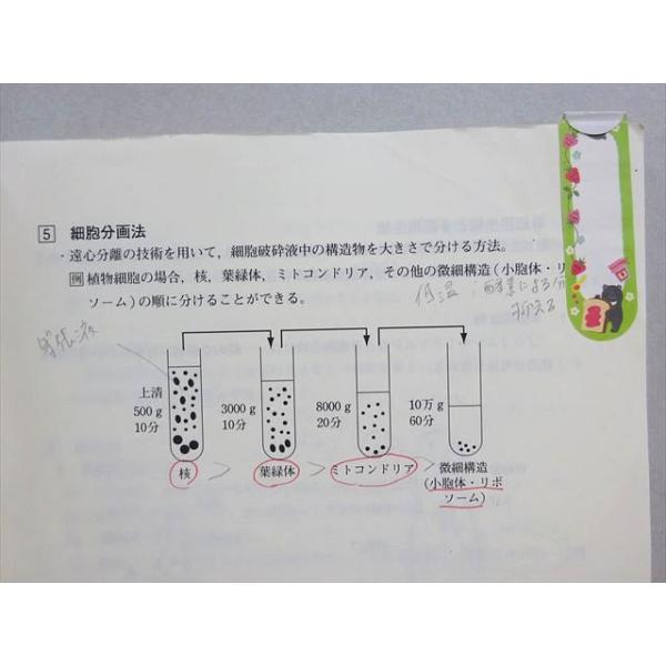 東進 スタンダード生物 Part1 2013 飯田高明 012m0B全 | JChereヤフー