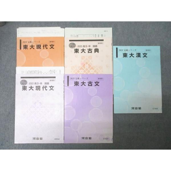 河合塾 東京大学 東大現代文/古文/古典/漢文 国語 テキストセット 2023
