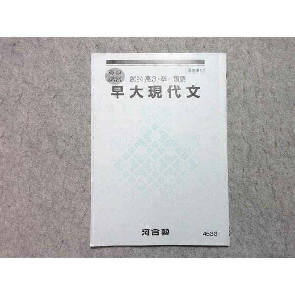 河合塾 早大現代文 2024 夏期講習 木村哲也 005s0B : ブックスドリーム