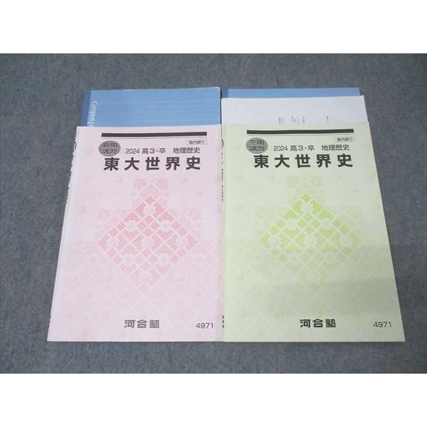 河合塾　夏期講習　東大世界史 河合塾 東京大学 東大世界史 テキストセット 2024 夏期/冬期 計2冊