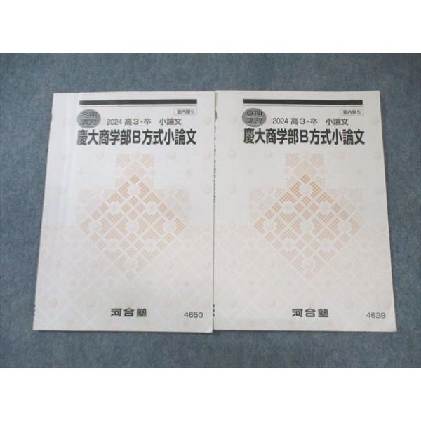 河合塾 慶大商学部B方式小論文 2024 夏期/冬期 計2冊 005s0D