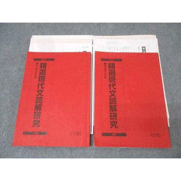 駿台 国語 精選現代文読解研究 テキスト通年セット 2024 計2冊 松本