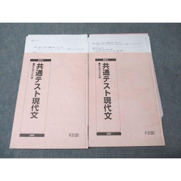 駿台 共通テスト現代文 通年セット 2024 前/後期 計2冊 池上和裕